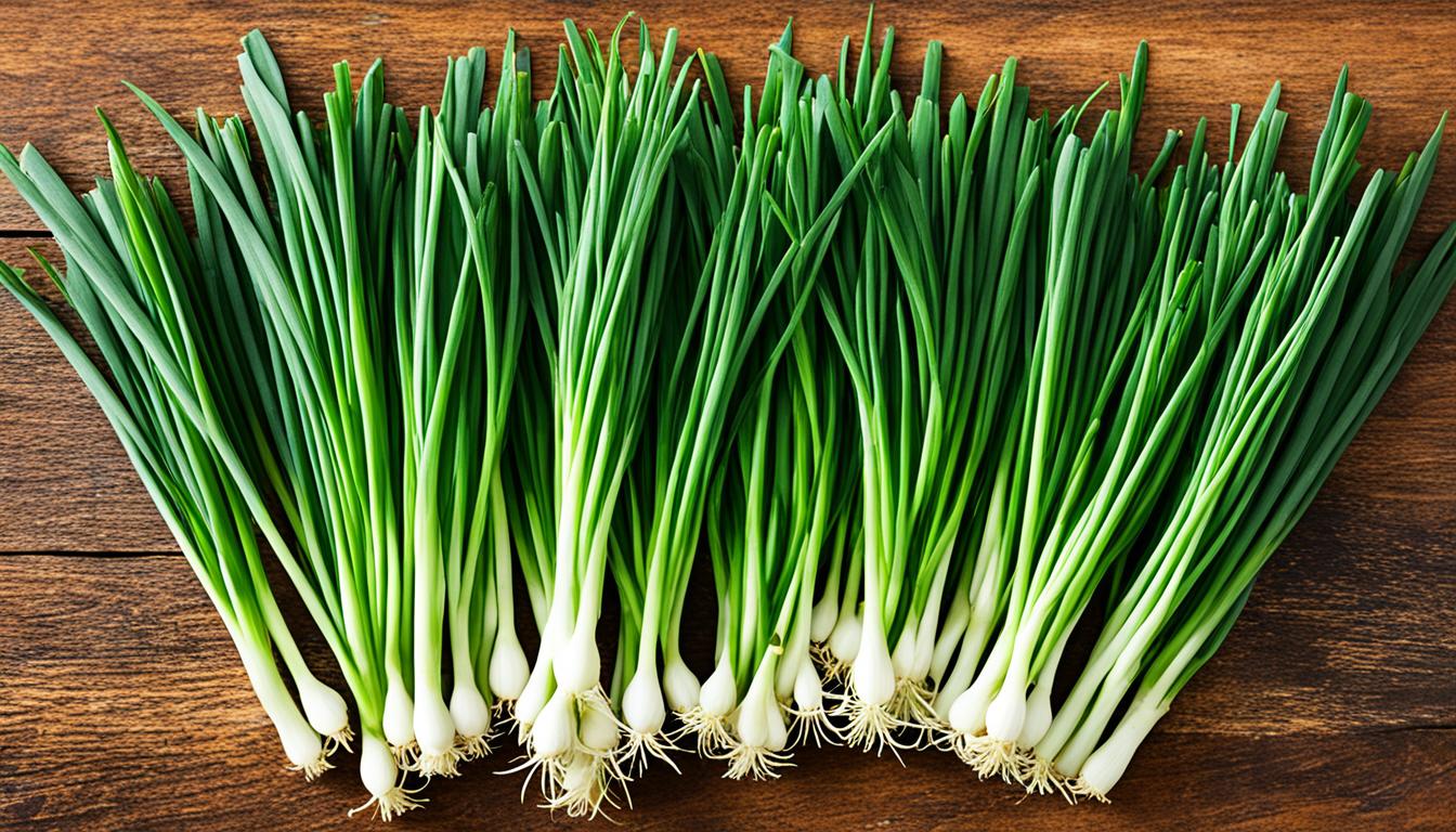 chives vs green onions